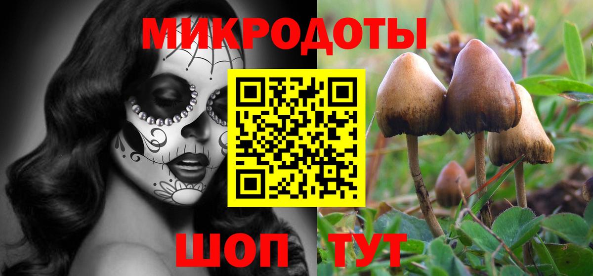 Галлюциногенные грибы Magic Shrooms Чехов